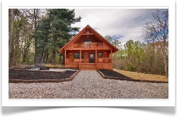 road leading up to cabin