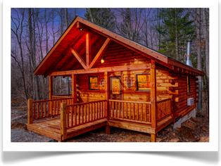 all log style cabin with wooded area in back
