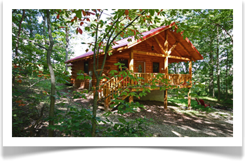 tall tree next to snow covered cabin with stairs to wrap around porch