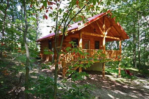 Tranquil atmosphere surrounding the cabin
