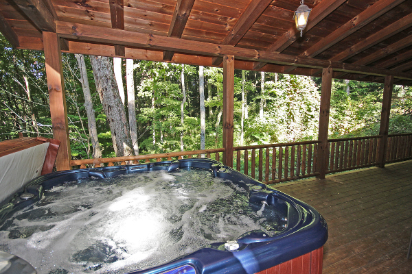 Another Closeup of Hot Tub, with Back Deck and Back Woods