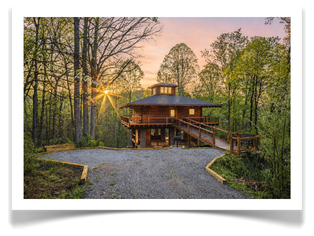 treehouse cabin rental